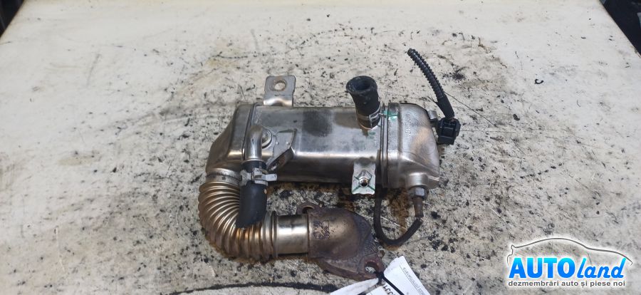 Racitor EGR