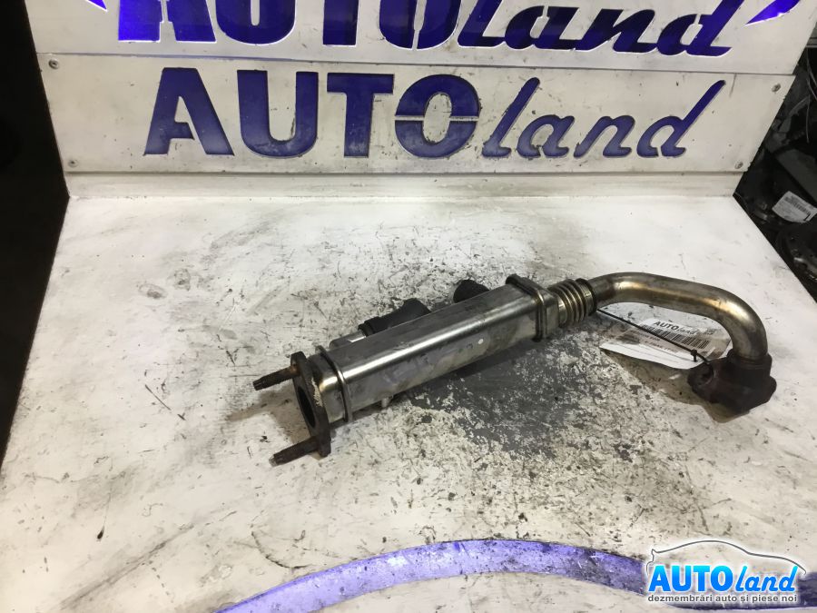 Racitor EGR NISSAN X-TRAIL (T30) 2001-2025