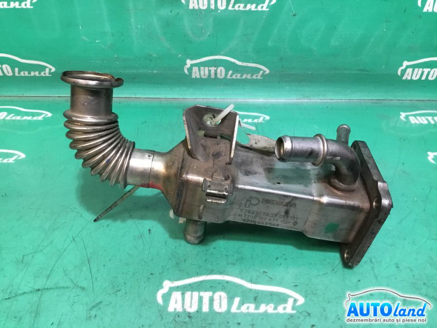 Racitor EGR RENAULT MEGANE II (BM0/1_,CM0/1_) 2002-2026 Cod 8200463548 