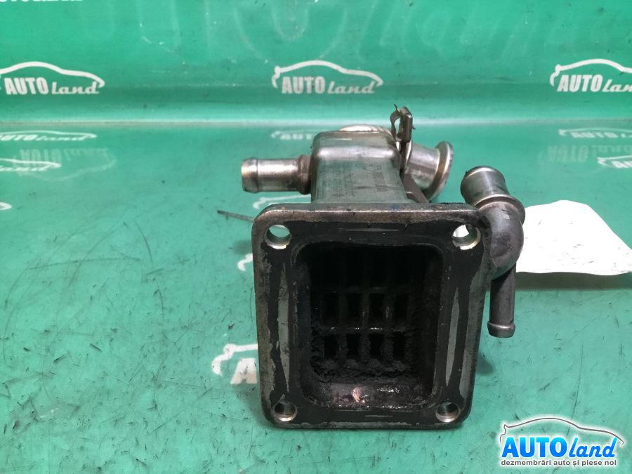Racitor EGR RENAULT MEGANE II (BM0/1_,CM0/1_) 2002-2026 Cod 8200463548 