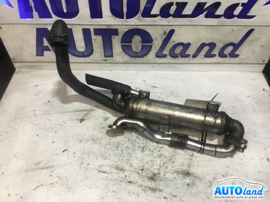 Racitor EGR VOLKSWAGEN PASSAT (3B3) 2000-2005