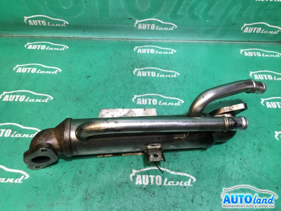 Racitor EGR VOLKSWAGEN PASSAT Variant (3B6) 2000-2005