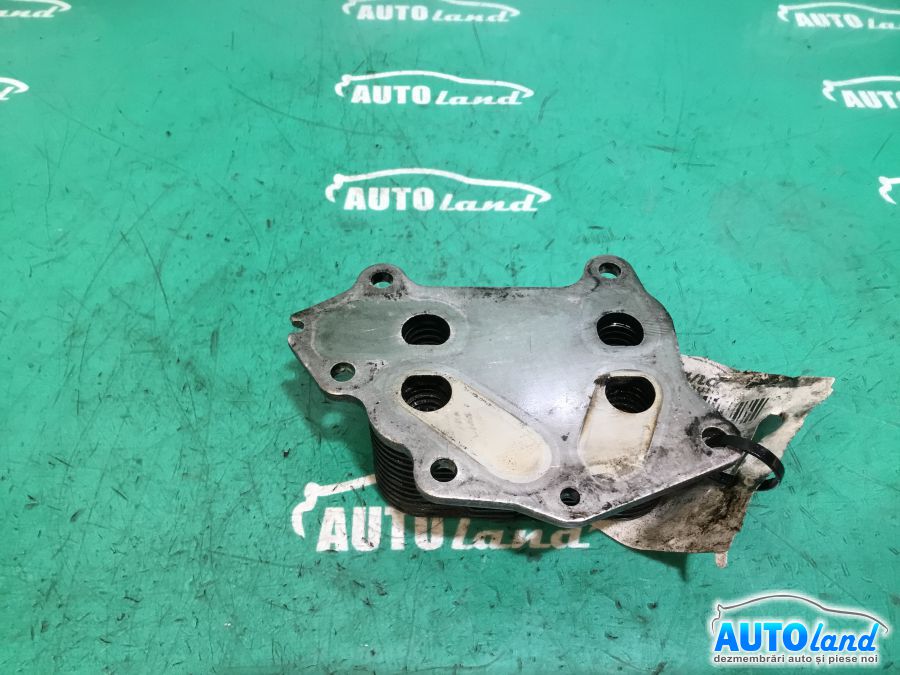 Termoflot (racitor Ulei) FORD FOCUS II (DA_) 2004-2008