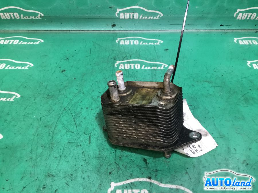 Termoflot (racitor Ulei) MERCEDES-BENZ C-CLASS (W202) 1993-2000 Cod A6110780079 