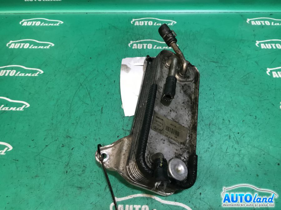 Termoflot (racitor Ulei) MERCEDES-BENZ C-CLASS (W203) 2000-2025 Cod A6120700079 