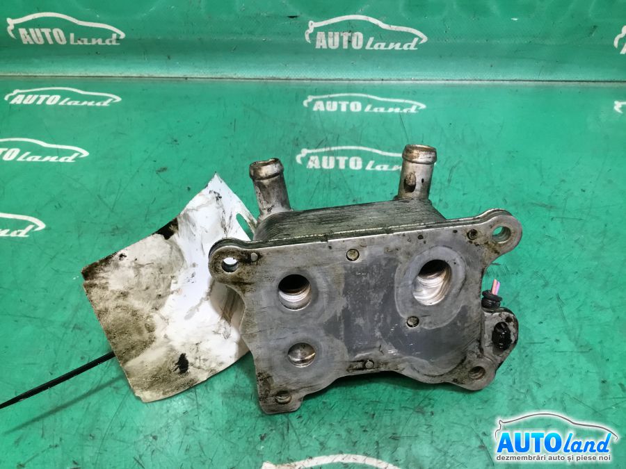 Termoflot (racitor Ulei) RENAULT CLIO IV 2012-2025 Cod 213052032R 