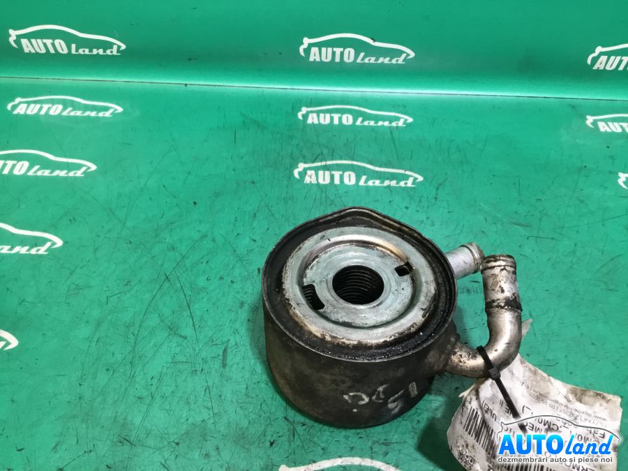 Termoflot (racitor Ulei) RENAULT MEGANE II (BM0/1_,CM0/1_) 2002-2025