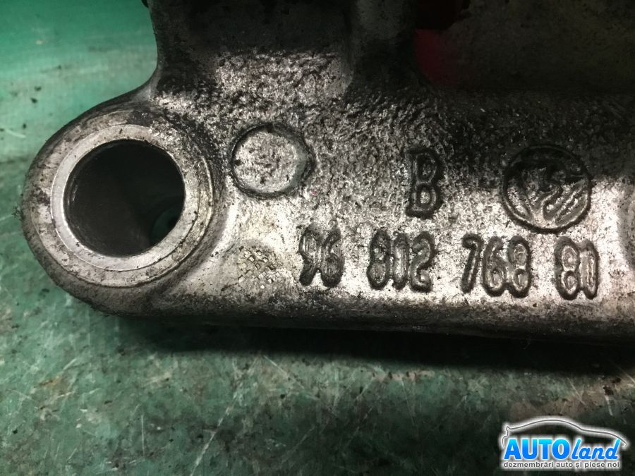 Usa fata Dreapta RENAULT MEGANE II (BM0/1_,CM0/1_) 2002-2025