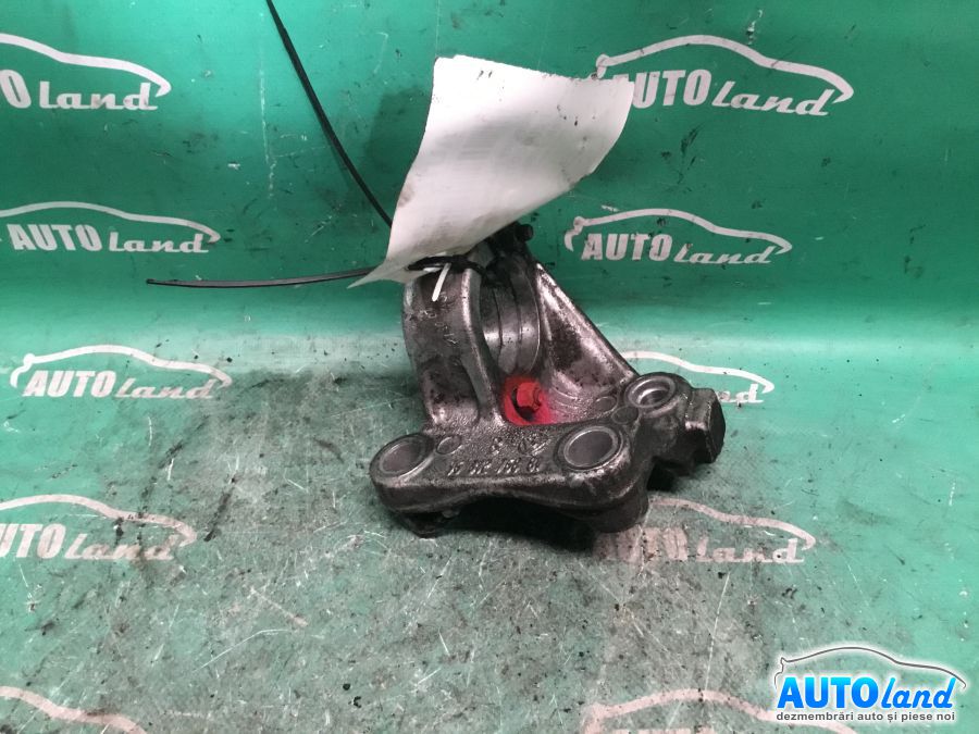 Usa fata Dreapta RENAULT MEGANE II (BM0/1_,CM0/1_) 2002-2025