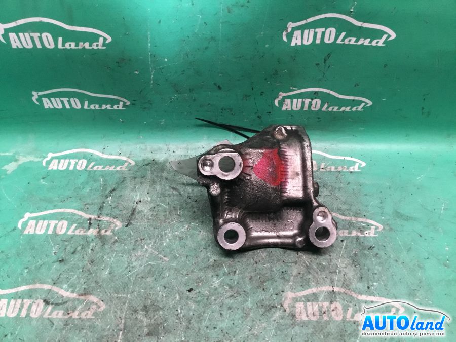 Usa fata Dreapta RENAULT MEGANE II (BM0/1_,CM0/1_) 2002-2025