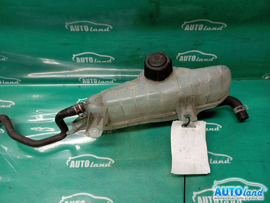 Vas Expansiune NISSAN MICRA III (K12) 2003-2010